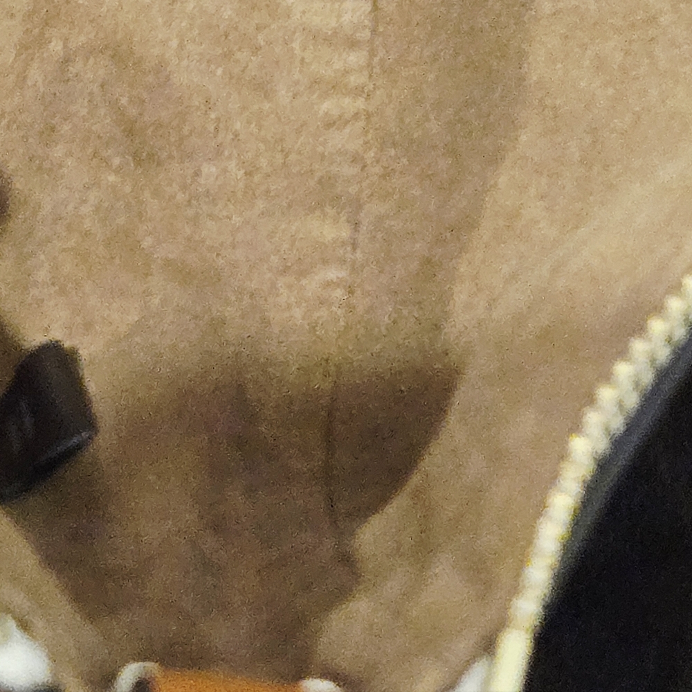 Coach Mira Shoulder Bag With Horse And Carriage Print, style number CM584. - Picture 4 of 13